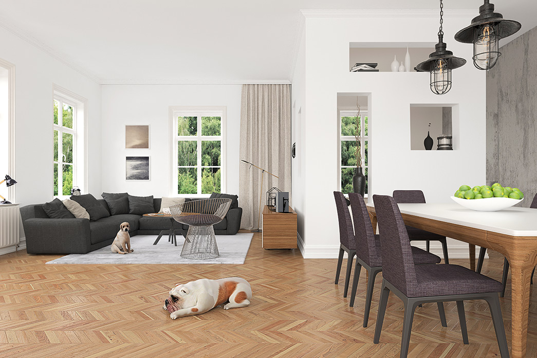 How To Pet Proof Your Al Or Home Ashford Realty Group Pet Proof Flooring