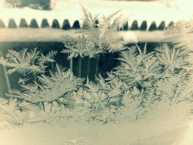 winter