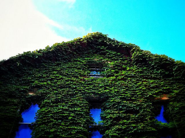 house-14