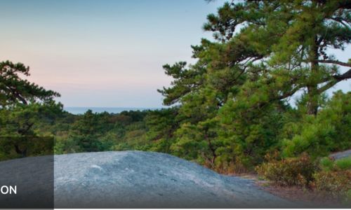 Get Outdoors - Tompson St Reservation