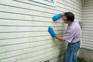 Contractor cleaning algae and mold from vinyl siding of a customers home.