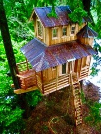 treehouse tin roof railings ladder image