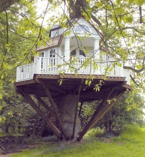treehouse white traditional image