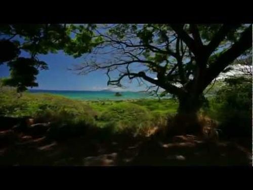 Kamehameha Schools Evict Monsanto from Hawaii