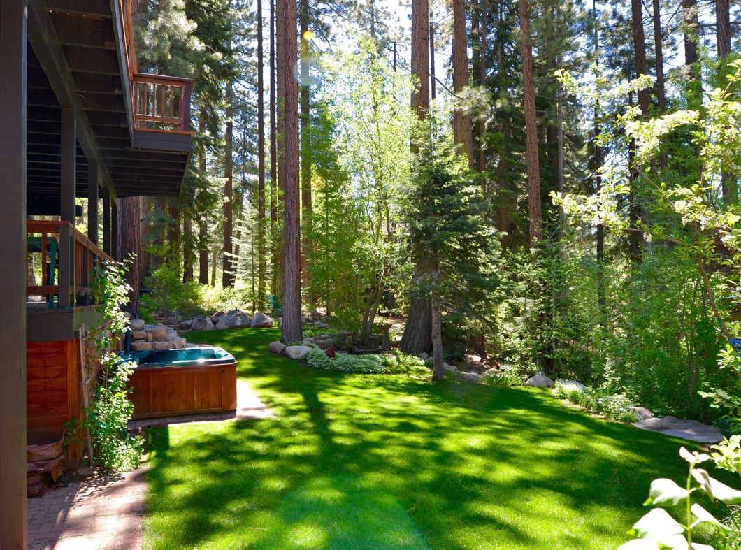 973 Dana backyard