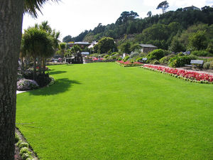 Landscaped Yard with Grass Flowers and Trees