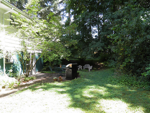 Backyard home for sale in Sumner