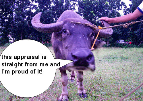 bullcrap-on-flickr-photo-sharing