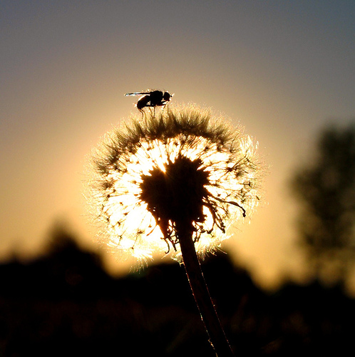soft-landing-real-estate