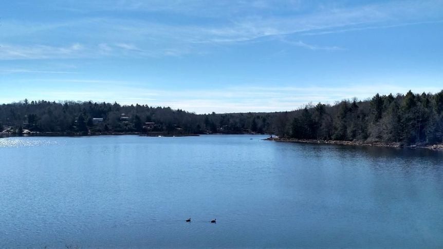 IMG_20160312_103434069_HDR