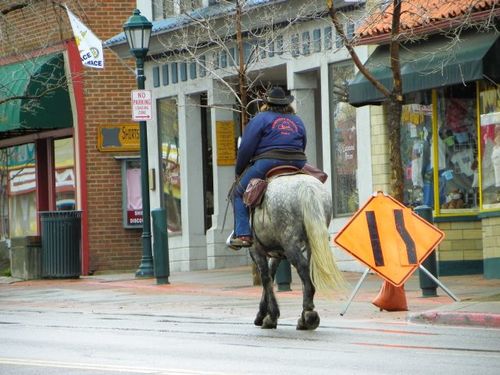 ESTES PARK COLORADO - A ONE HORSE TOWN?