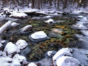 Snowy Creek Early Winter Idaho Falls