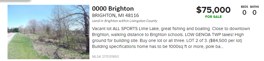 Brighton Rd Lakefront Lot