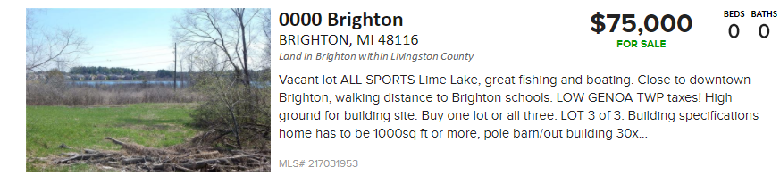 lakefront land for sale in brighton