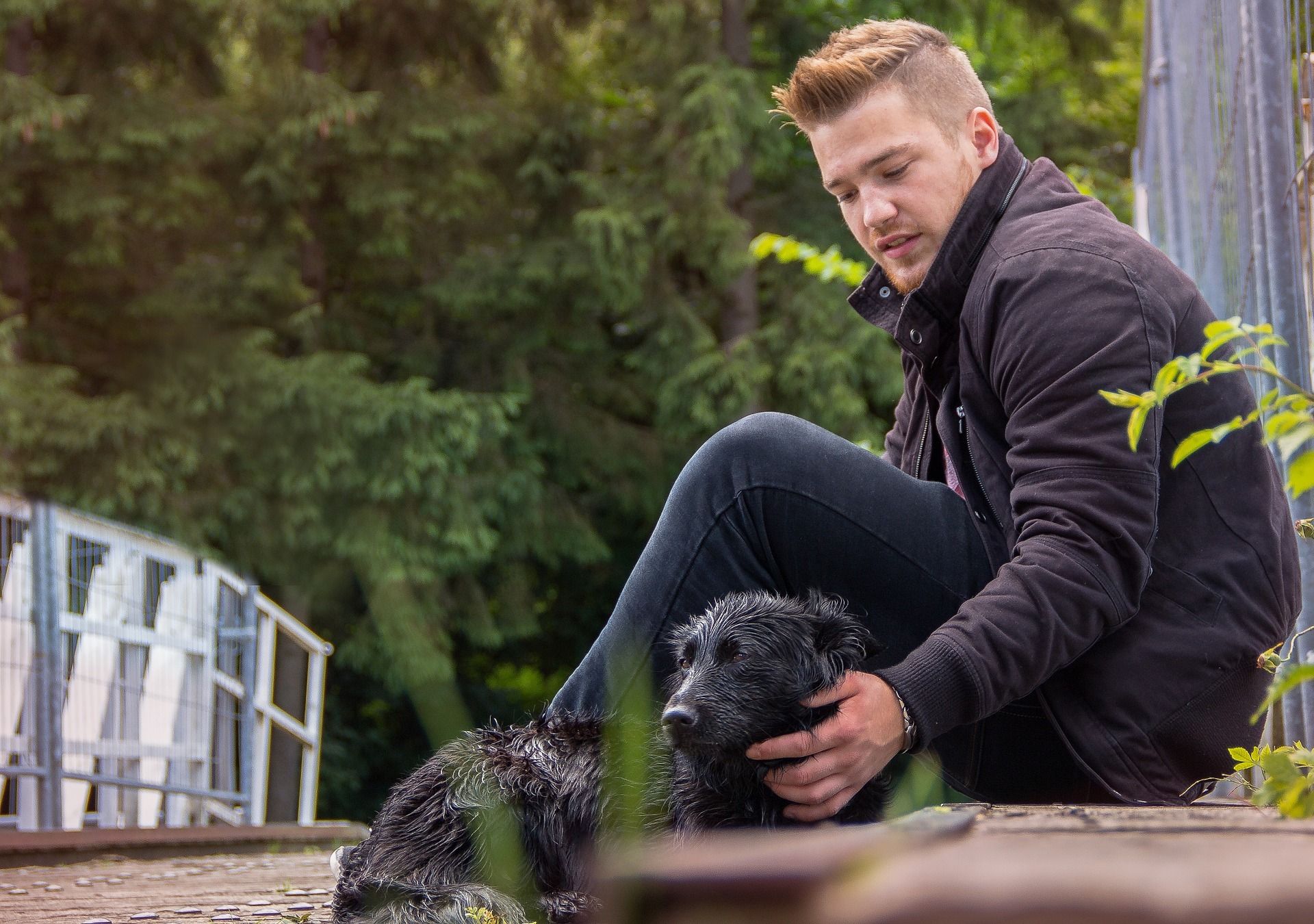 Dog and owner