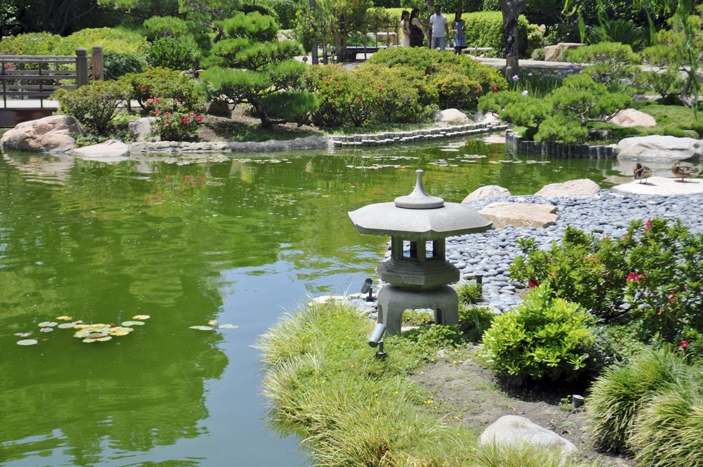 Earl Burns Miller Japanese Garden