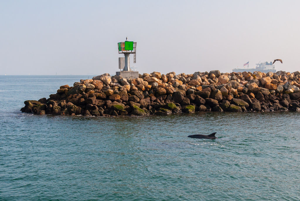 The Long Beach Breakwater: Why It's There and Where It's Going ...