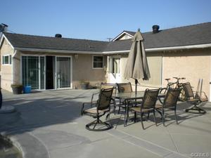 backyard bad