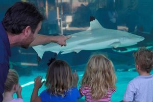 Aquarium of the Pacific - Long Beach