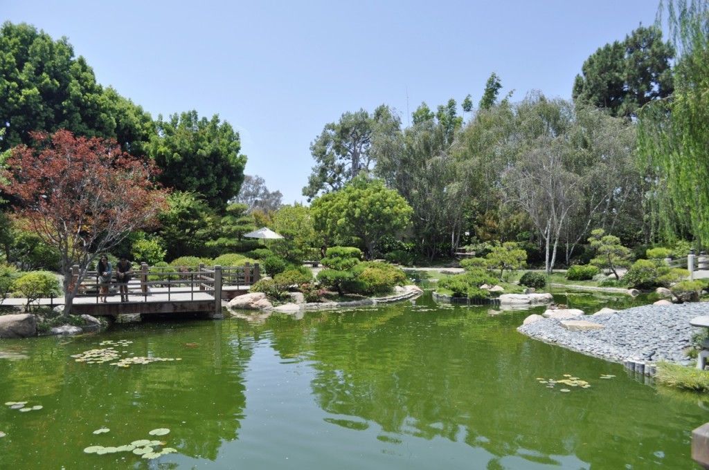 CSULB Japanese Gardens