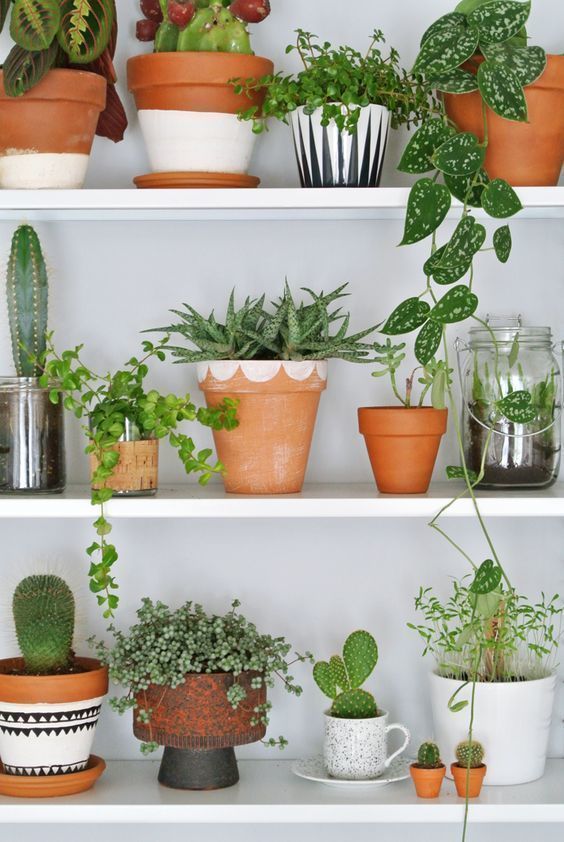 Source: Entermyattic.blogspot.nl