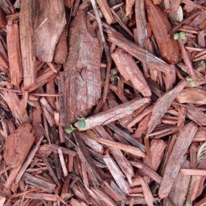 mulch-70901_1280-300x300