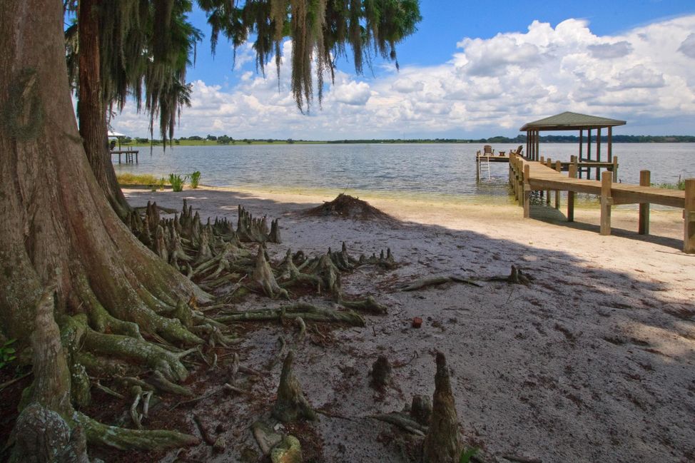 Auburndale The Stones Real Estate Firm