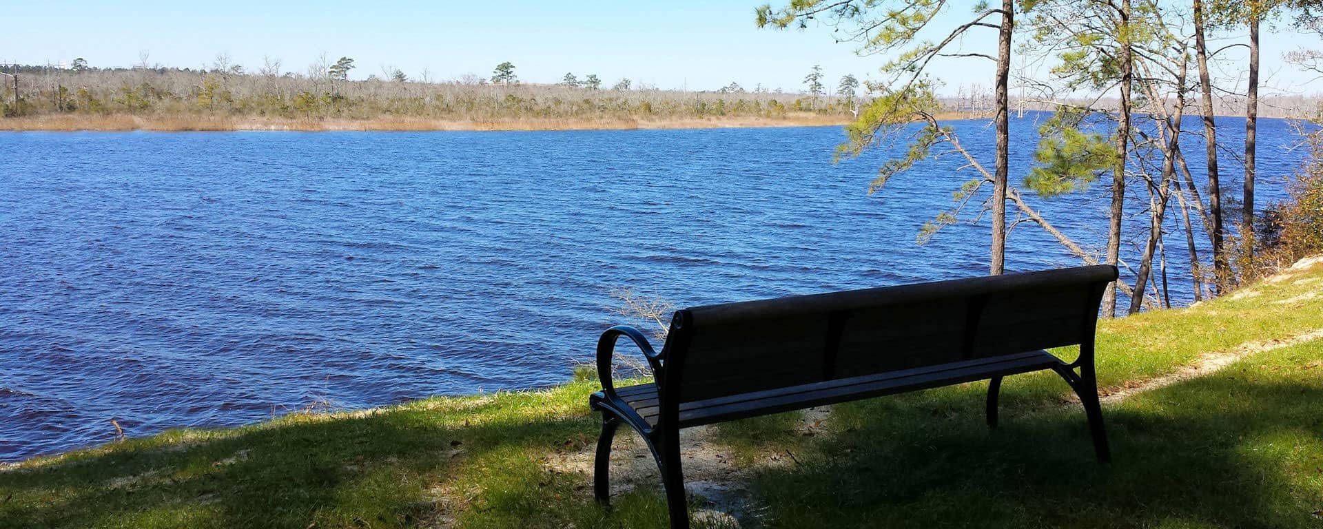 The Best of Castle Hayne, NC The Cameron Team