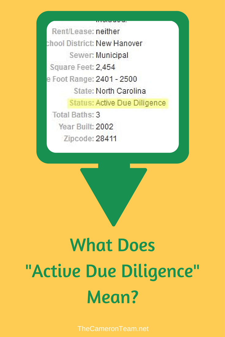 What Does Active Due Diligence Mean The Cameron Team