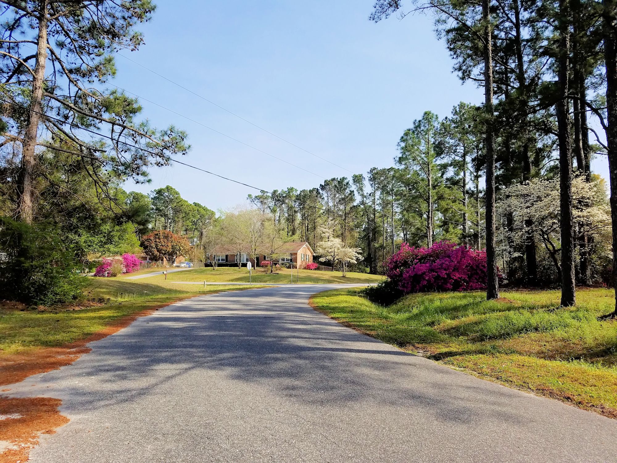 Kings Grant Homes for Sale in Wilmington, NC The Cameron Team
