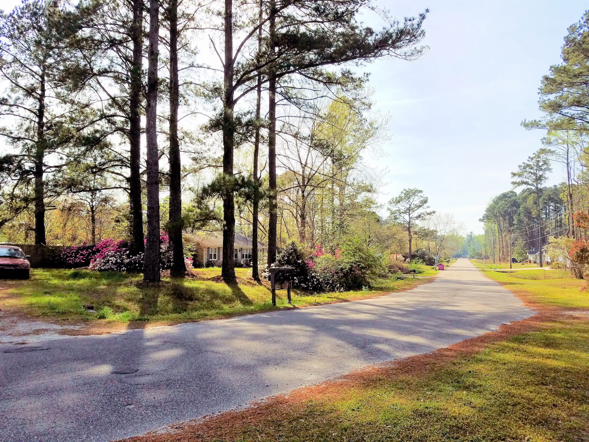 Kings Grant Homes for Sale in Wilmington, NC The Cameron Team