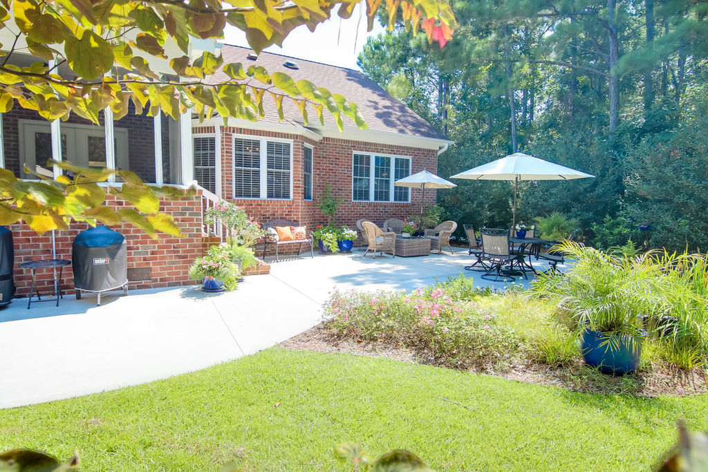 Back Yard Oasis