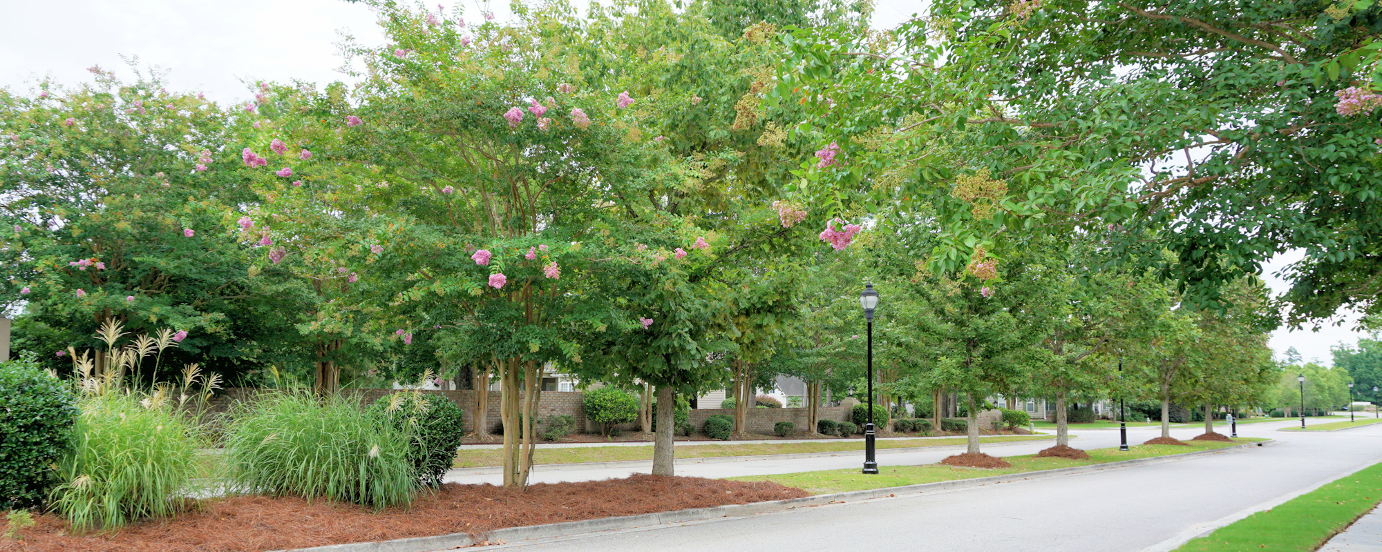 Rivers Edge Homes for Sale in Wilmington, NC The Cameron Team