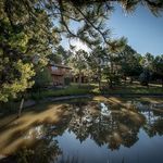Woodmoor Home with Pond