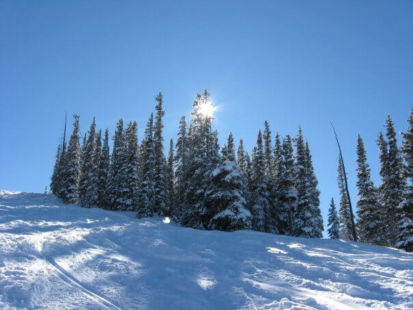 A snowy slope with evergreens near the top and the sun shining through the branches